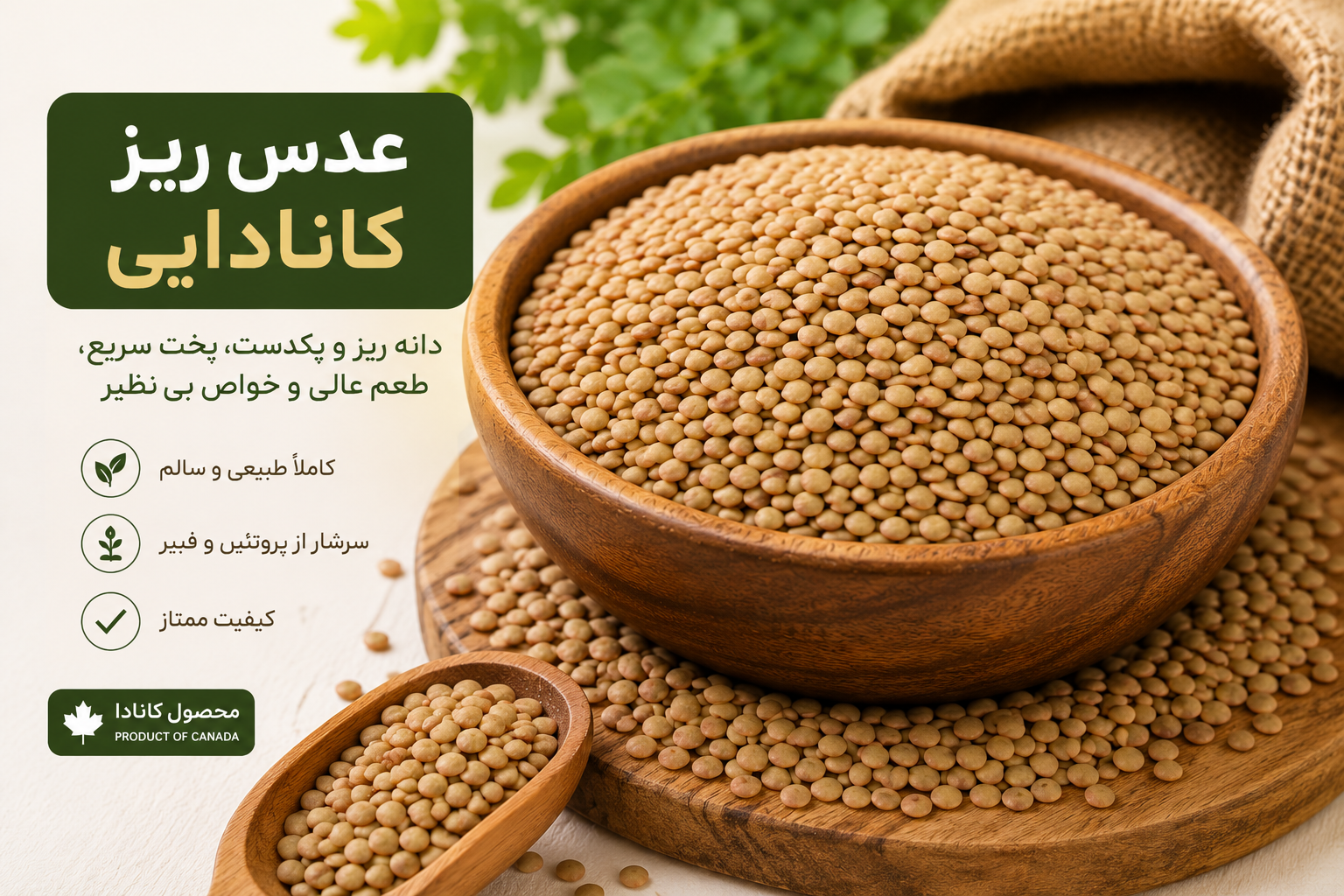 عدس ریز کانادایی وزن 1000 گرم